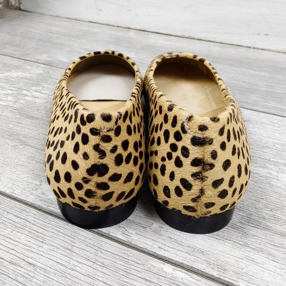 NEW-TROTTERS WM 6 & 7  CHEETAH PRINT LTHR CAP SHOE - Picture 8 of 10